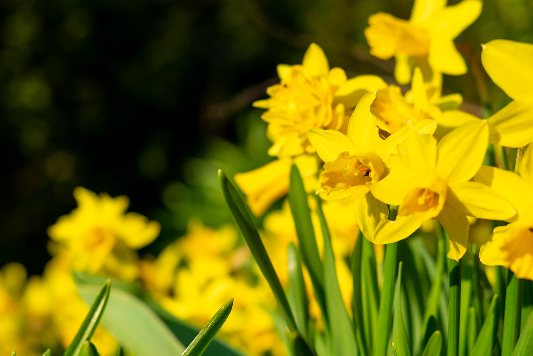 Rate Limiting with Token Buckets