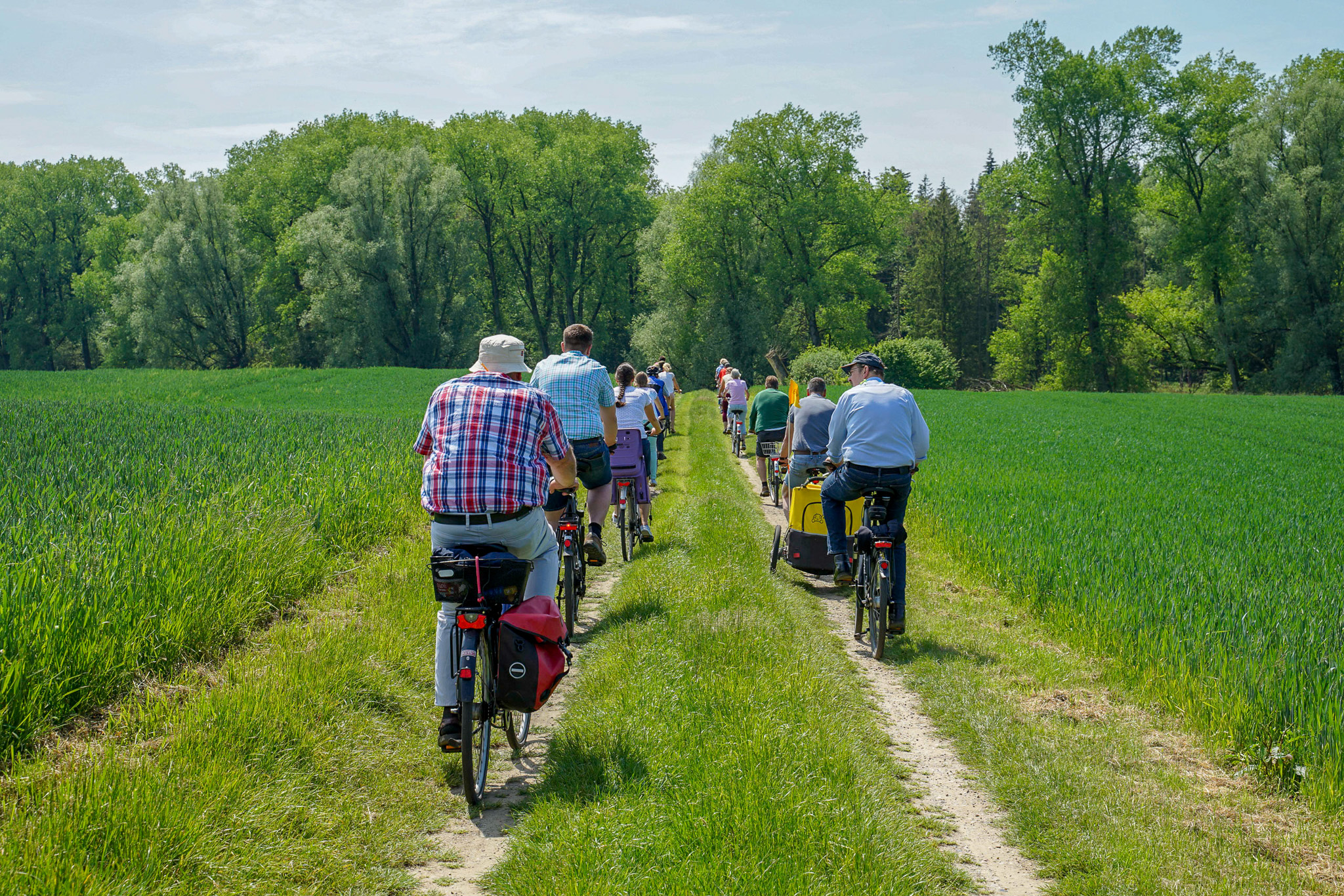 Matrix URIs, their semantics and usage in Java RESTful Services